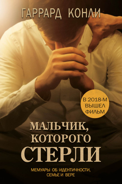 Скачать Мальчик, которого стерли