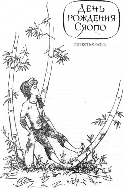 Скачать День рождения Сяопо