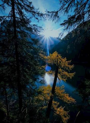 Скачать Баламут 3