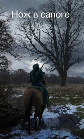 Нож в сапоге. Том 1. Черный кот