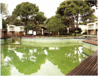 Скачать У пошуках Оґопоґо