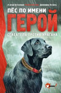 Спасатель против урагана