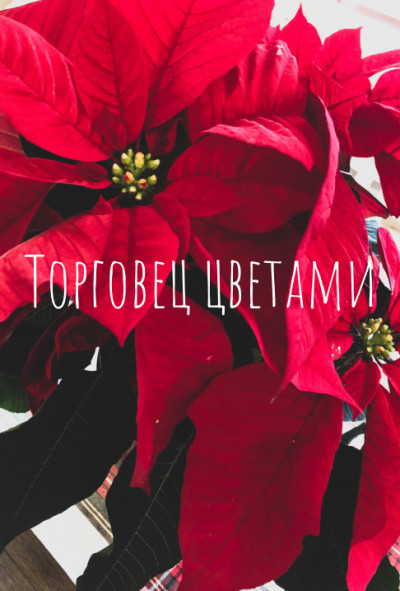 Скачать Торговец цветами