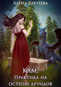 Скачать Кам. Практика на острове друидов