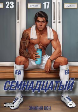 Скачать Семнадцатый