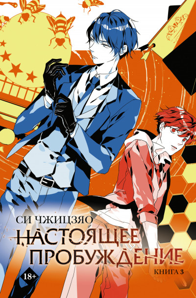 Скачать Настоящее пробуждение. Real Awakening. Книга 3