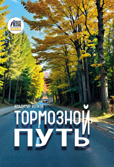 Тормозной путь