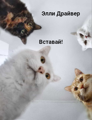 Скачать Вставай!