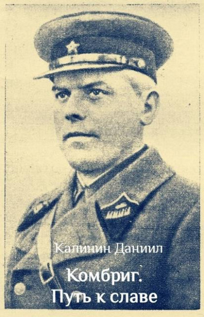 Скачать Комбриг. Путь к славе