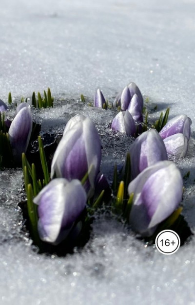 Скачать Русский романс