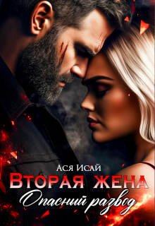 Скачать Вторая жена. Опасный развод