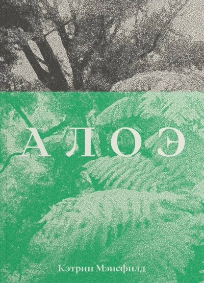 Скачать Алоэ