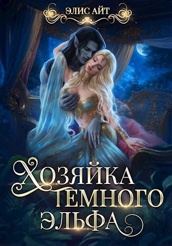 Скачать Хозяйка тёмного эльфа