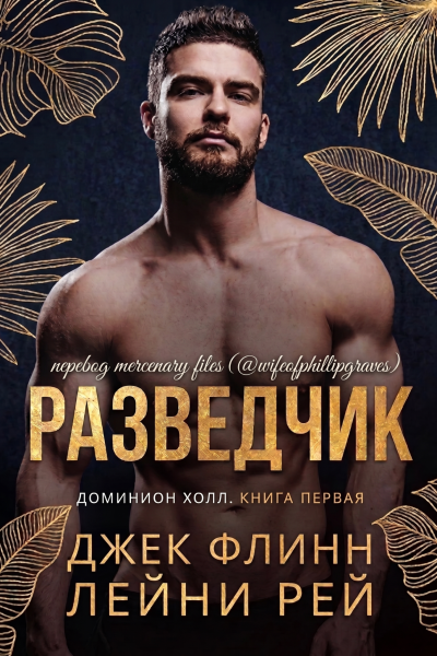 Скачать Разведчик