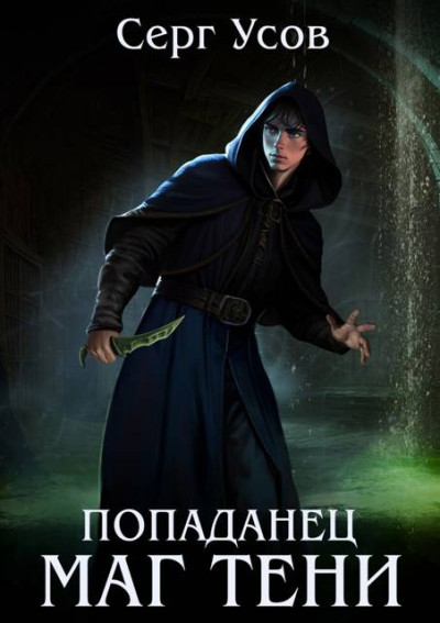 Скачать Попаданец. Маг Тени. Книга 13