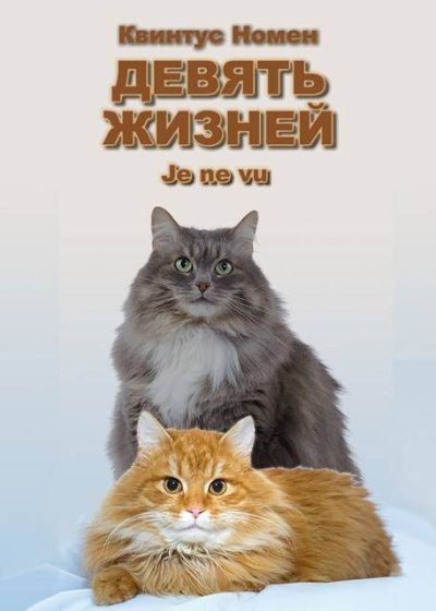 Скачать Девять жизней Je ne vu