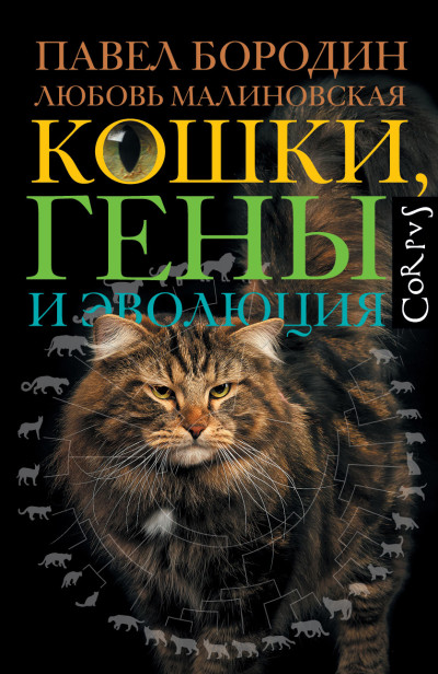 Скачать Кошки, гены и эволюция
